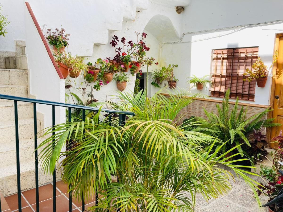 Apartamento Conil Centro Conil De La Frontera Εξωτερικό φωτογραφία